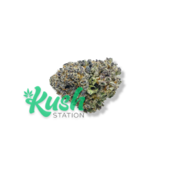 Slurricrasher | Indica | Kush Station | Buy Weed Online In Canada