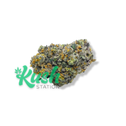 Sour Ambrosia | Hybrid | Kush Station | Buy Weed Online In Canada
