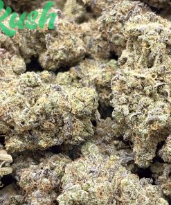 Jack Herer | Sativa | Kush Station | Buy Weed Online In Canada
