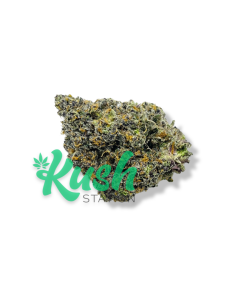 Michael Jordan | Indica | Kush Station | Buy Weed Online In Canada