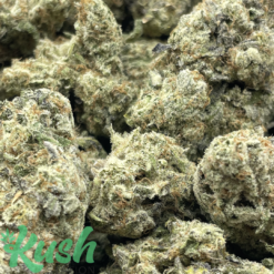 Alien Jelly | Indica | Kush Station | Buy Weed Online In Canada