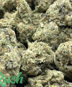 Alien Jelly | Indica | Kush Station | Buy Weed Online In Canada