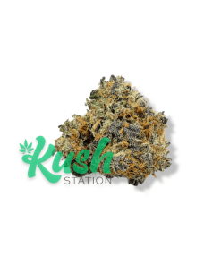 Blue Congo | Sativa | Kush Station | Buy Weed Online In Canada