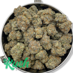 Blue Congo | Sativa | Kush Station | Buy Weed Online In Canada