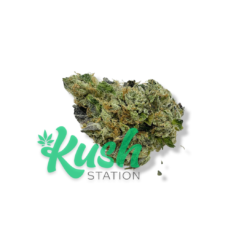 El Chapo | Indica | Kush Station | Buy Weed Online In Canada