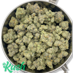 Gary Payton | Hybrid | Kush Station | Buy Weed Online In Canada