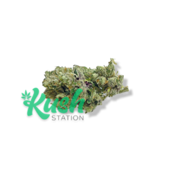 Hi Octane | Indica | Kush Station | Buy Weed Online In Canada