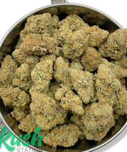 Modified Grapes | Hybrid | Kush Station | Buy Weed Online In Canada