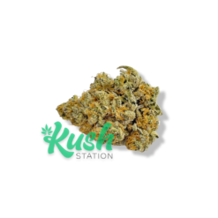 Modified Grapes | Hybrid | Kush Station | Buy Weed Online In Canada