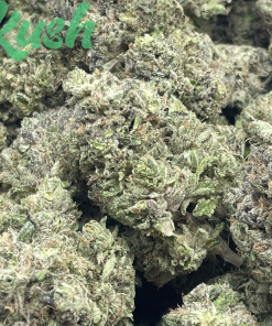 White Walker | Hybrid | Kush Station | Buy Weed Online In Canada