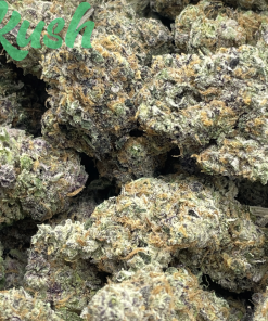 Fruit loops| Hybrid | Kush Station | Buy Weed Online In Canada