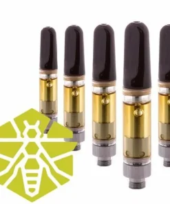 VAPE STARTER KIT