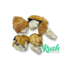 Dino Eggs Mushroom | Kush Station | Buy Weed online In Canada