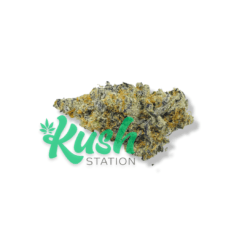 Blissful Wizard | Hybrid | Kush Station | Buy Weed Online In Canada