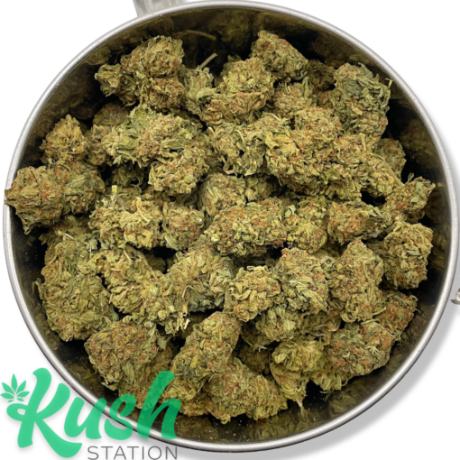 Blue Cheese | Indica | Kush Station | Buy Weed Online In Canada