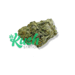 Blue Dream | Sativa | Kush Station | Buy Weed Online In Canada