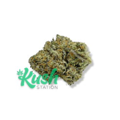El Chapo | Indica | Kush Station | Buy Weed Online In Canada