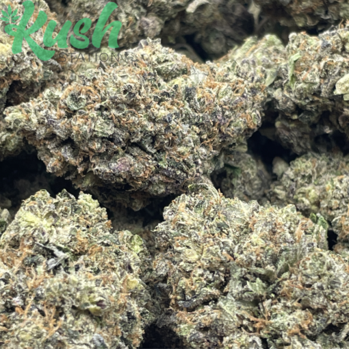 El Chapo | Indica | Kush Station | Buy Weed Online In Canada