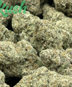Mac | Hybrid | Kush Station | Buy Weed Online In Canada