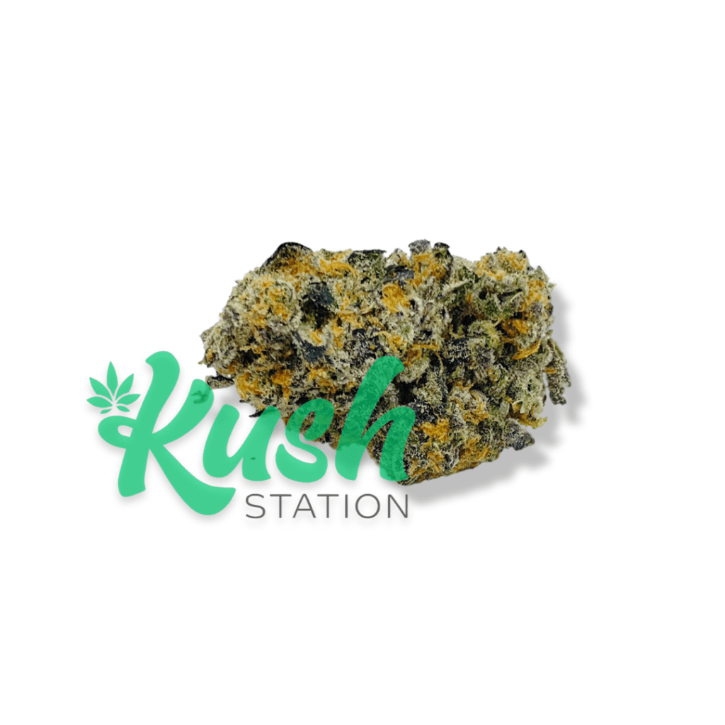 Modified Grapes Strain Kushstation