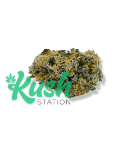Modified Grapes | Hybrid | Kush Station | Buy Weed Online In Canada