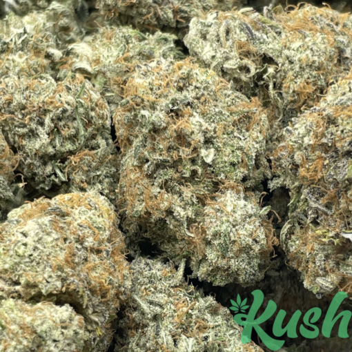 Red Congolese | Sativa | Kush Station | Buy Weed Online In Canada
