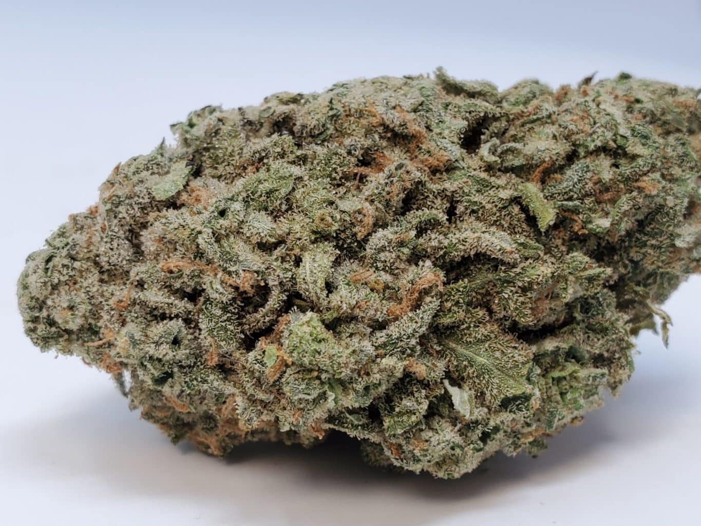 Pineapple Nuken strain A Sweet and Potent Hybrid Cannabis Kush Station