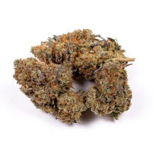 Jet Fuel strain | Kush Station | Buy Weed Online