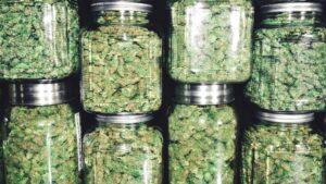 safe storage of cannabis