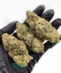 MAC 1| Hybrid | Kush Station | Buy Weed Online In Canada