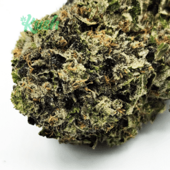 Rockstar | Indica | Kush Station | Buy Weed Online In Canada