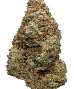 Silver Kush | Sativa | Kush Station | Buy Weed Online In Canada