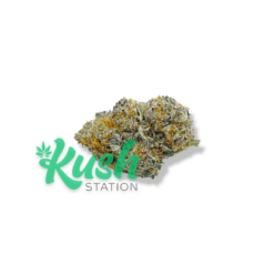 Cherry Sorbet | Indica | Kush Station | Buy Weed Online In Canada