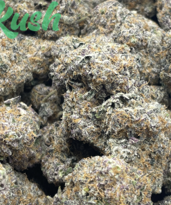 Cherry Sorbet | Indica | Kush Station | Buy Weed Online In Canada