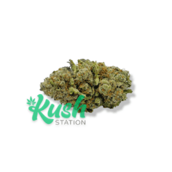 Gorilla Bomb | Sativa | Kush Station | Buy Weed Online In Canada