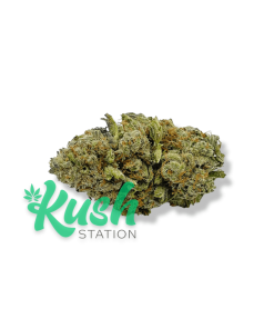 Gorilla Bomb | Sativa | Kush Station | Buy Weed Online In Canada