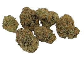 Gnarberry Strain