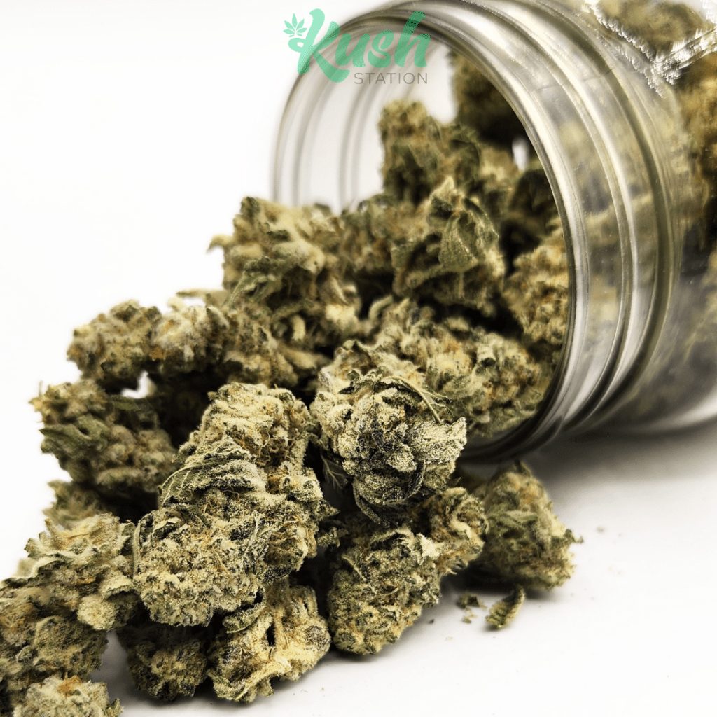Ice Wine Strain Buy Ice Wine Strain Online Kush Station Ice Wine Strain
