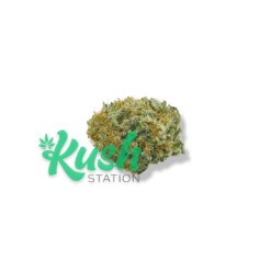 Mandarin Cookies | Hybrid | Kush Station | Buy Weed Online In Canada