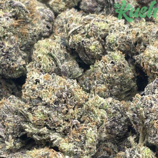 Pink Panther | Sativa | Kush Station | Buy Weed Online In Canada