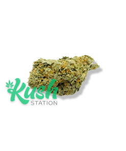 Super Silver Haze | Sativa | Kush Station | Buy Weed Online In Canada