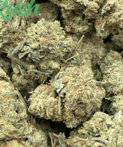 Super Silver Haze | Sativa | Kush Station | Buy Weed Online In Canada