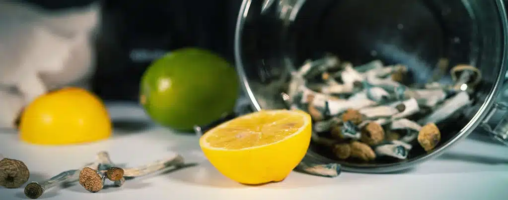 lemon tekked