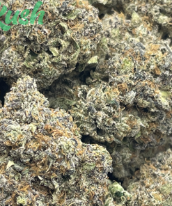 Frosted Fruit Cake | Indica | Kush Station | Buy Weed Online In Canada