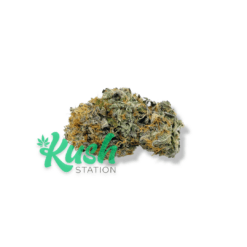 Astro Pink | Indica | Kush Station | Buy Weed Online In Canada