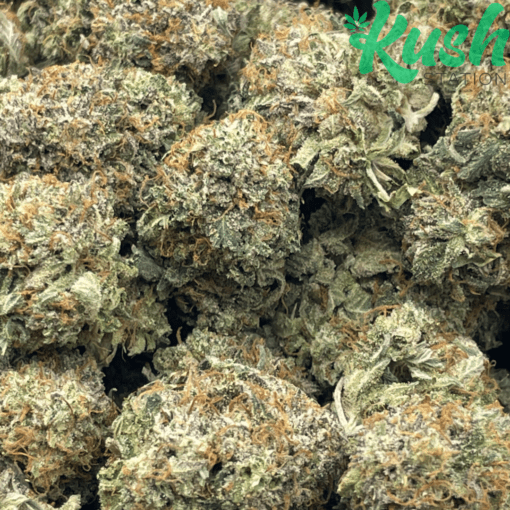 Astro Pink | Indica | Kush Station | Buy Weed Online In Canada