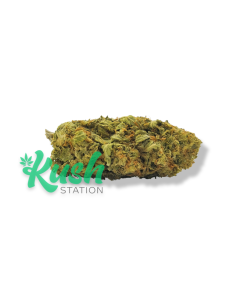 Silver Kush | Sativa | Kush Station | Buy Weed Online In Canada