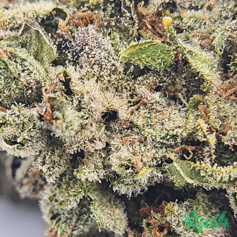 Peanut Butter Breath Bulk Kush Station