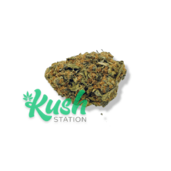 Lemon Kush | Sativa | Kush Station | Buy Weed Online In Canada