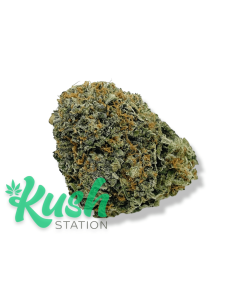 OG Shark | Hybrid | Kush Station | Buy Weed Online In Canada